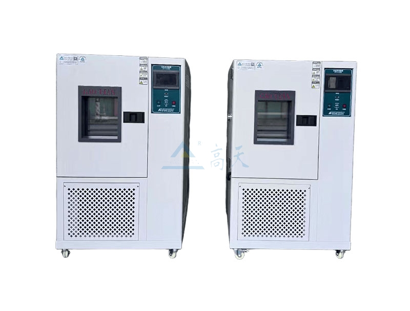 恒温恒湿蜜桃视频WWW在线观看