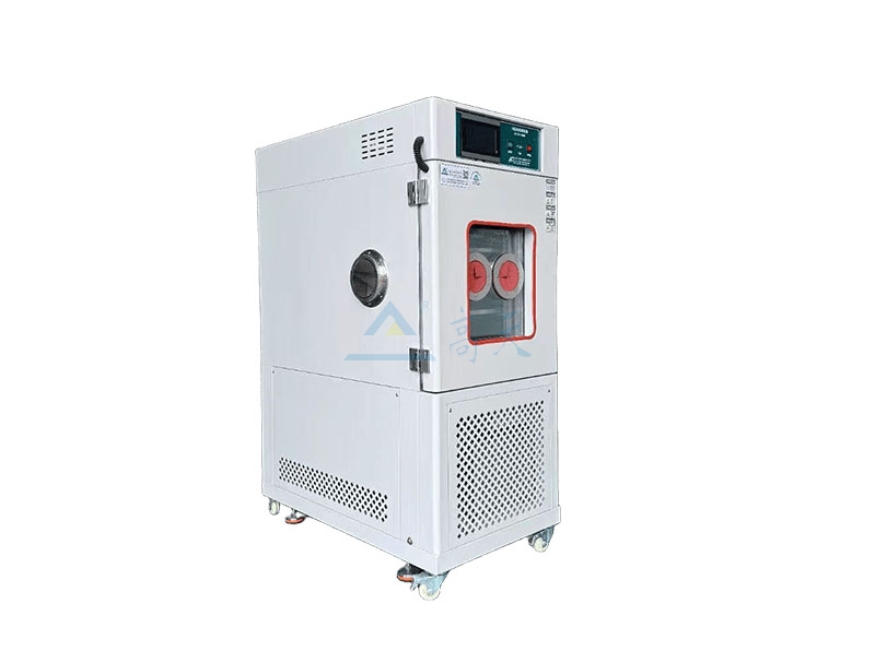 恒温恒湿蜜桃视频WWW在线观看