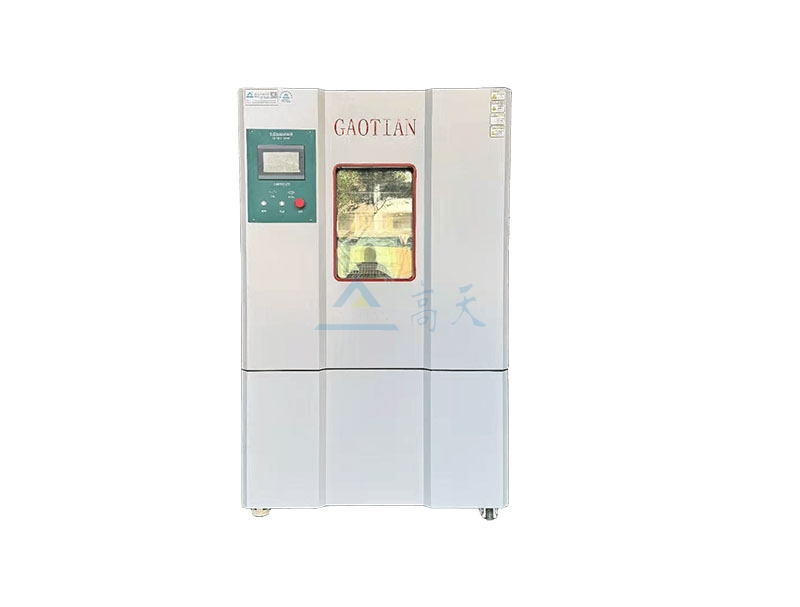 恒温恒湿蜜桃视频WWW在线观看